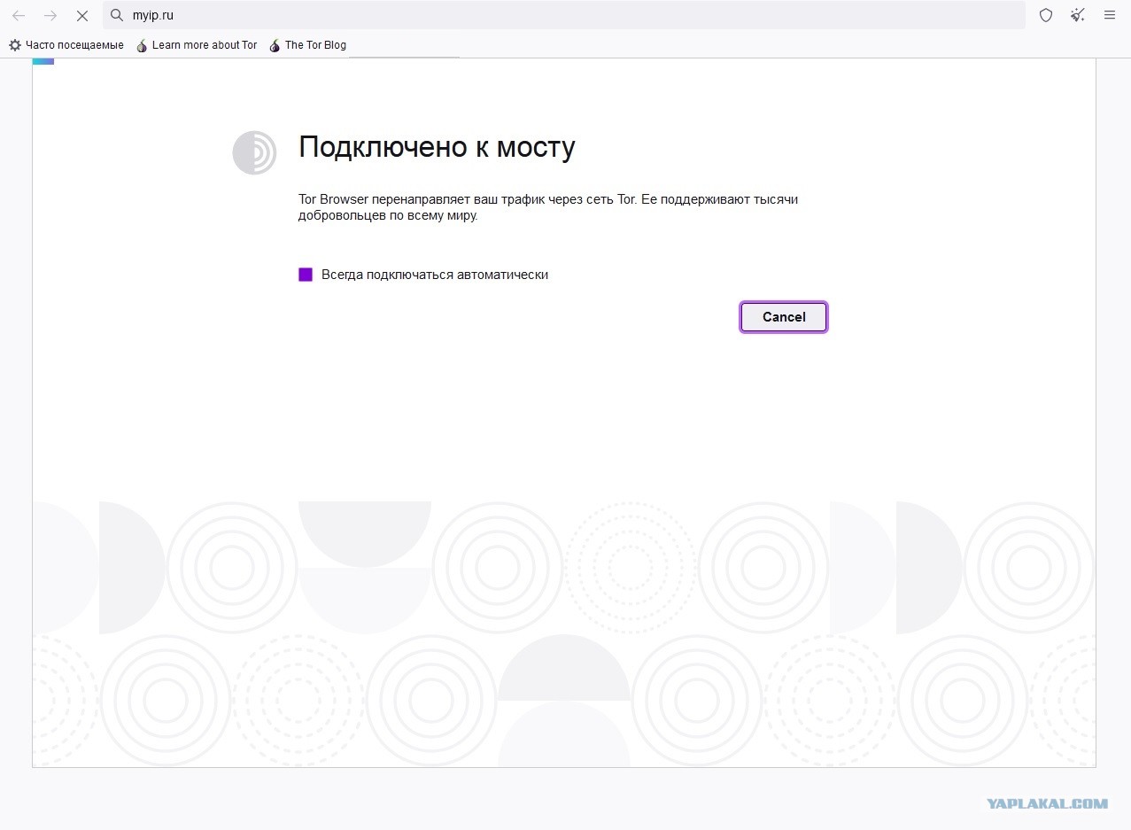 Кракен сайт магазин kraken clear com