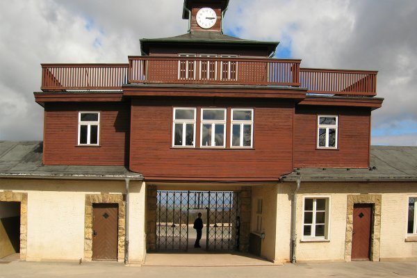 Гидра и кракен